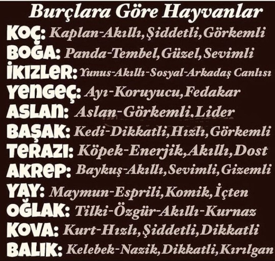 Hangi hayvanı neden temsil ediyorsun?