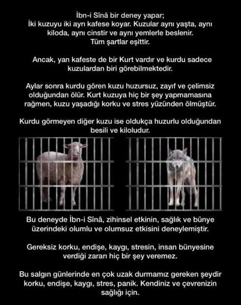 İnsanın, sevmediği biriyle yakın kalması mı zor. Yoksa sevdiği birinden uzak kalması mı zor?