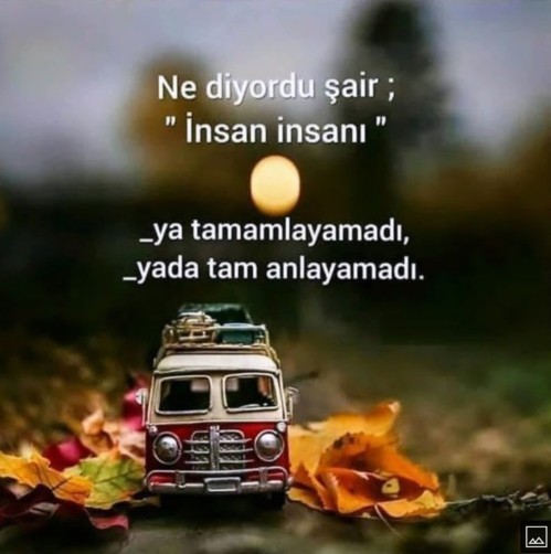 İnsanların asosyallere karşı neden garipser bi tavrı var?