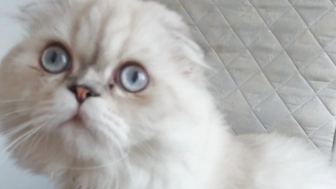Evet bu da benim oğlan, nasıl sizce?
