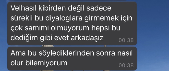 Sizce bunlardan dolayı güven kayıp edilir mi? Saygısız mı davrandım gerçekten ve nasıl affettirebilirim kendimi?