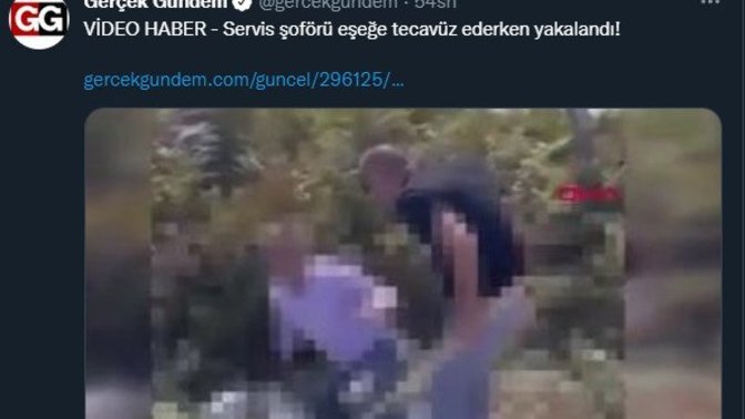Servis şoförü eşeğe tecavüz ederken yakalanmış ne düşünüyorsunuz?