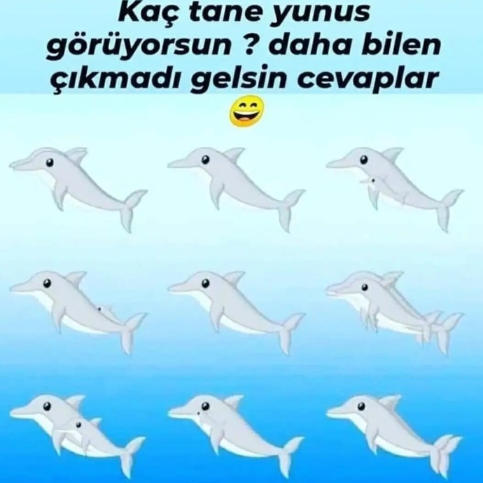 Kaç tane Yunus olduğunu bulabilecek misiniz 🤔?