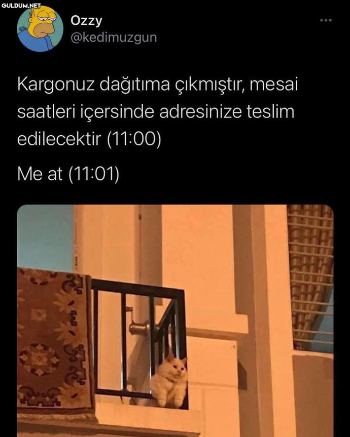 Sizi hangisi daha çok yaşlandırdı: Kargo yolu gözlemek mi, sevdiceğini beklemek mi?