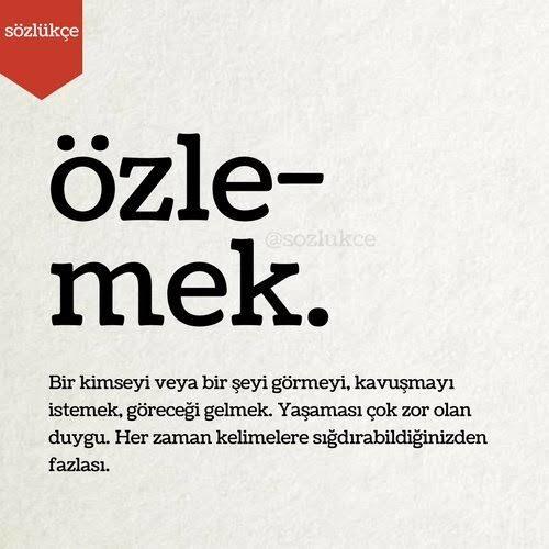 Arkadaşlar üniversiteye gitmek istemiyorum, ne yapabilirim?