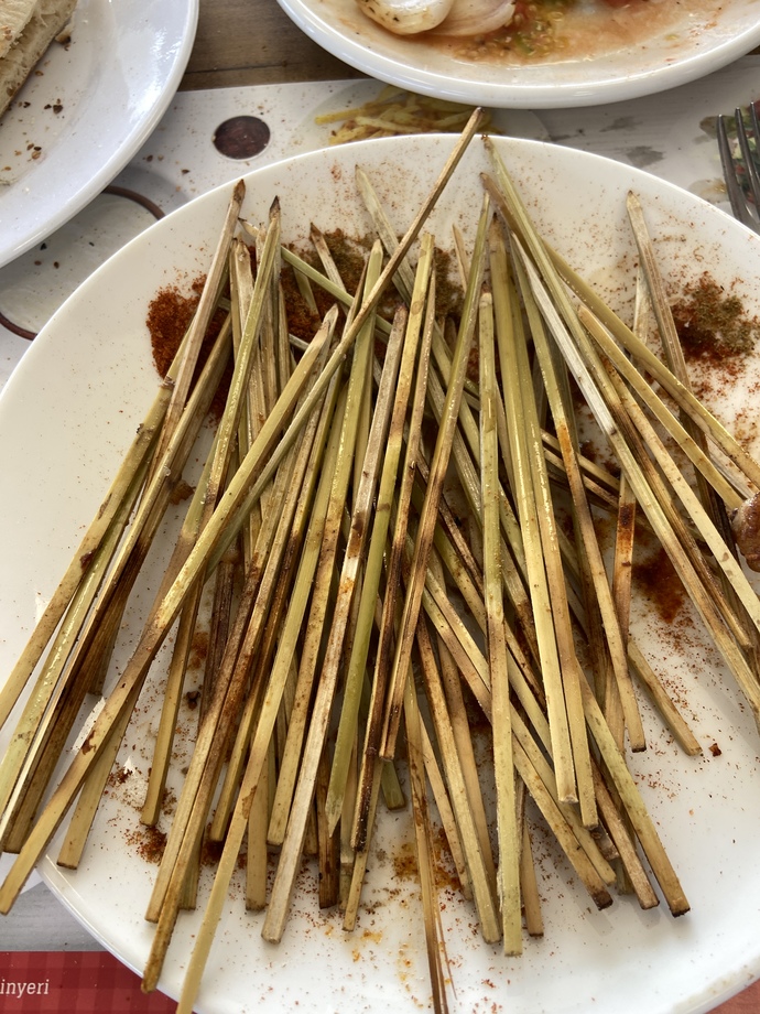 Çöp şiş sever misin, bir oturuşta kaç çöp şiş yersin?