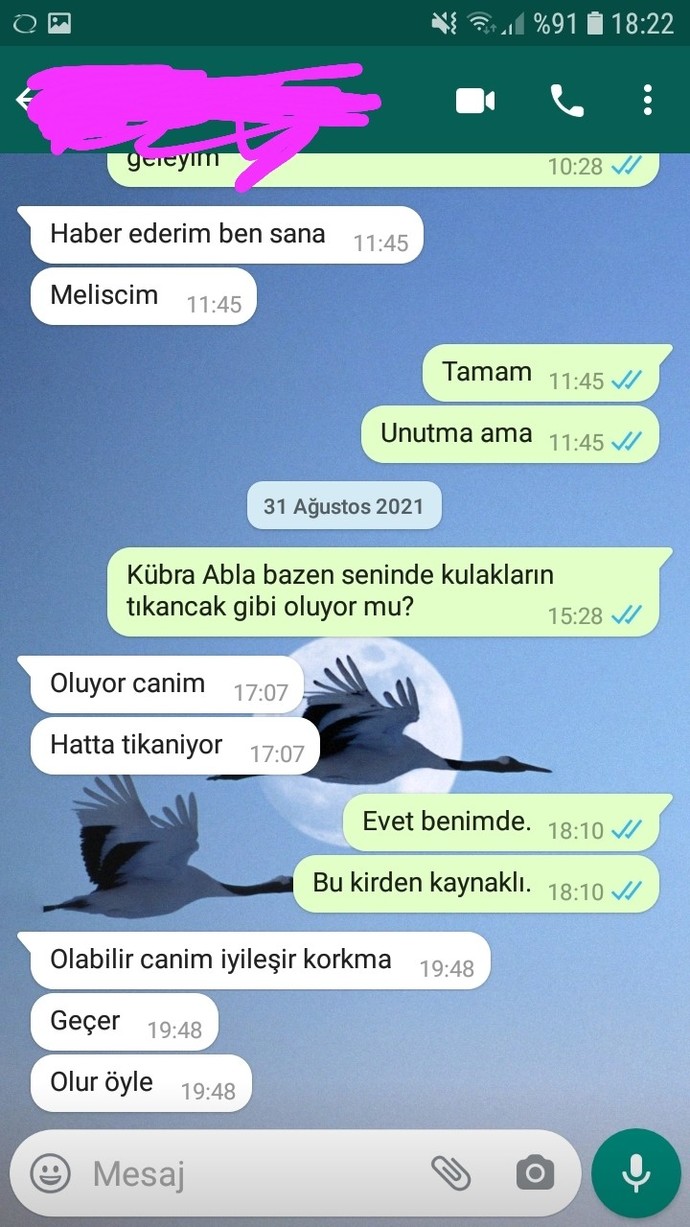 Karşı cinse yolladığınız son mesajı yapıştırır mısınız?