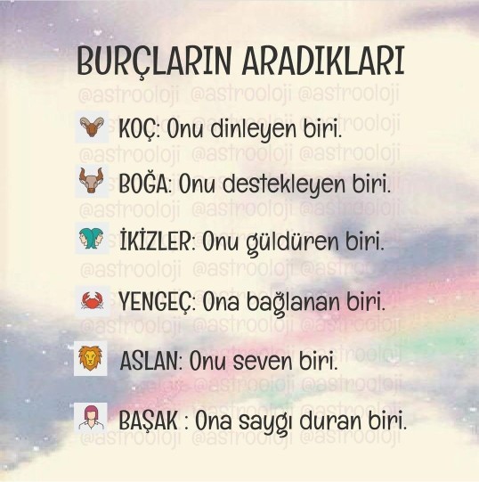 Burçların aradıkları nedir acaba?