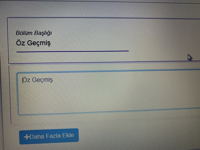 Cvye nasıl ve ne yazılır?