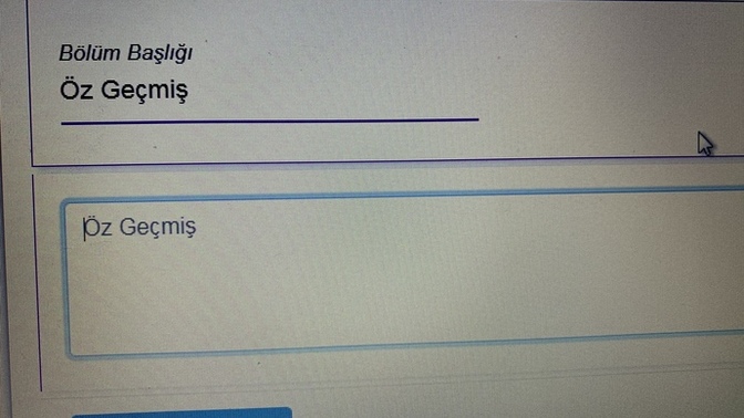 Cvye nasıl ve ne yazılır?