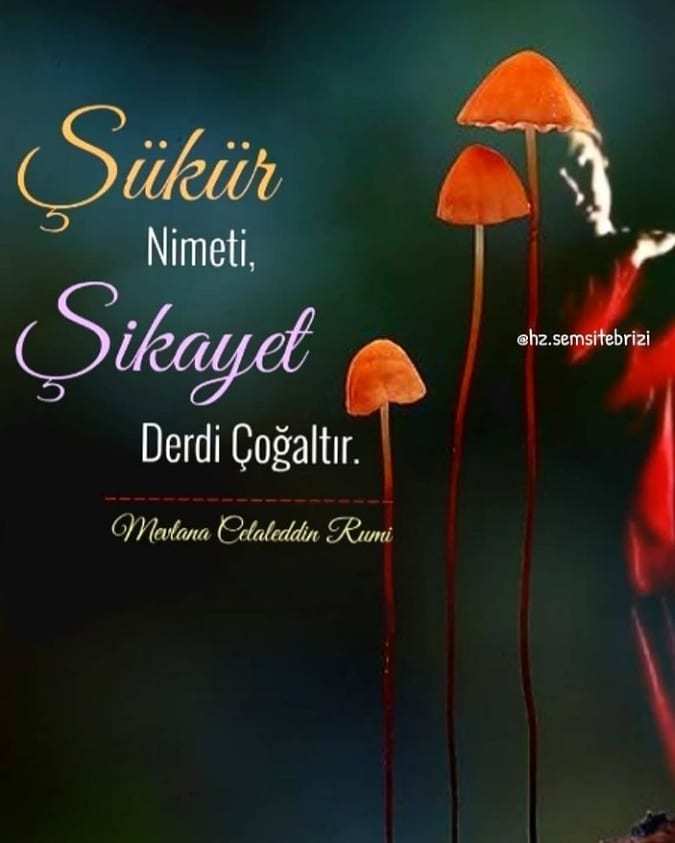 Sabretmeyi, şükür etmeyi biliyor musunuz?