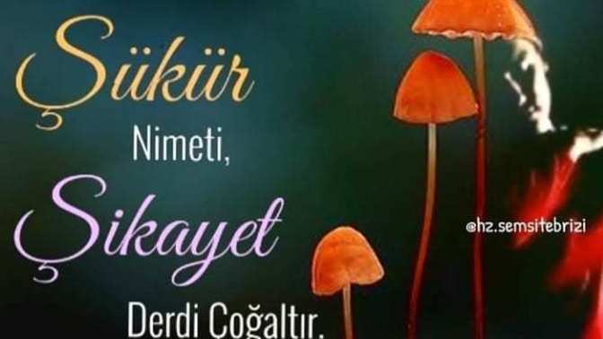 Sabretmeyi, şükür etmeyi biliyor musunuz?