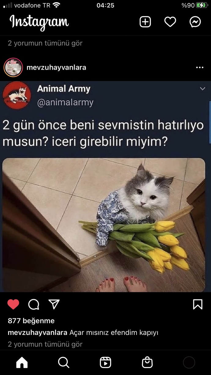 Kediyi sokağa atsam günah olur mu?