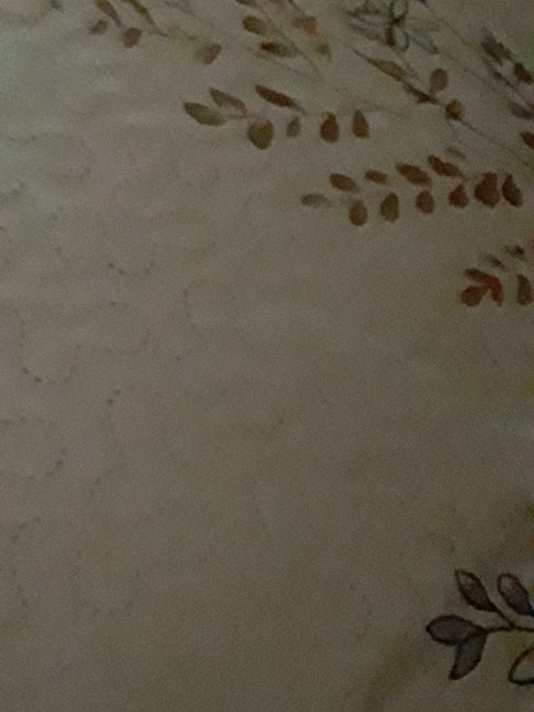 Herkes anlık halini paylaşsın?