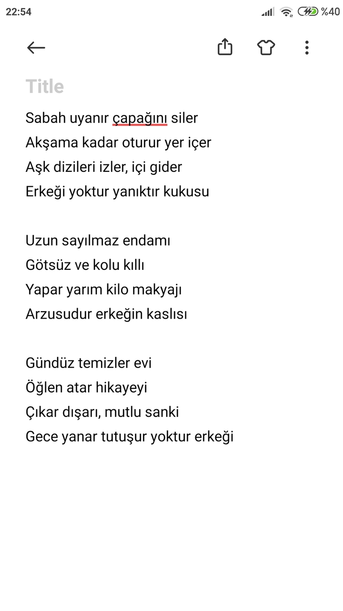 Bir mavili Abaza’nın dilinden dökülen şiir nasıl olmuş?
