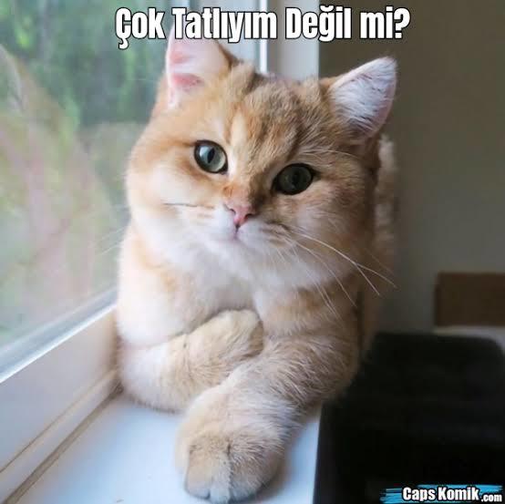 Türk erkeğini/kadınını üç kelimeyle nasıl betimlersiniz?