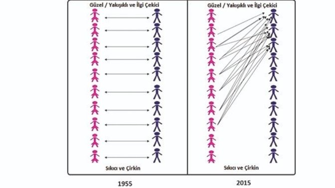 Hipergami hakkında ne düşünüyorsunuz?