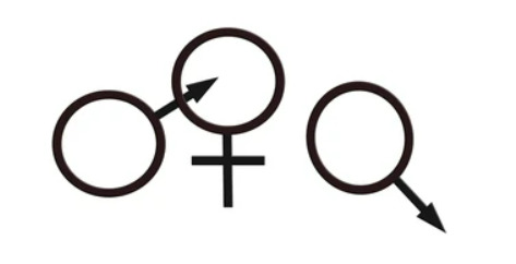 Tavsiye edeceğiniz cuckold, swinger, open marriage filmleri nelerdir?