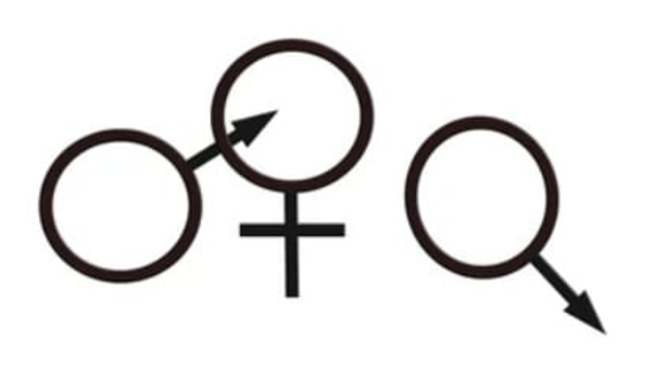 Tavsiye edeceğiniz cuckold, swinger, open marriage filmleri nelerdir?