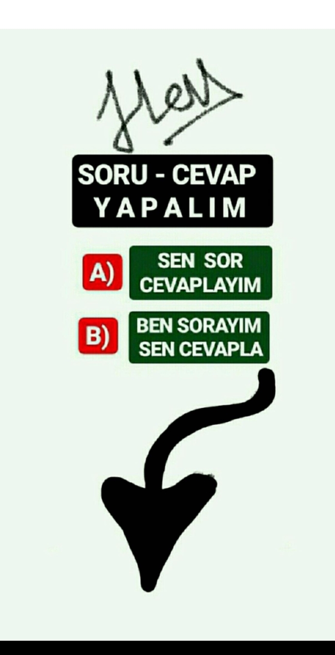 Soru cevap ne dersin?