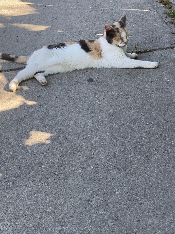 Bir ilişkinin cinsel yönüne ne kadar süre sonra yönelirsiniz?
