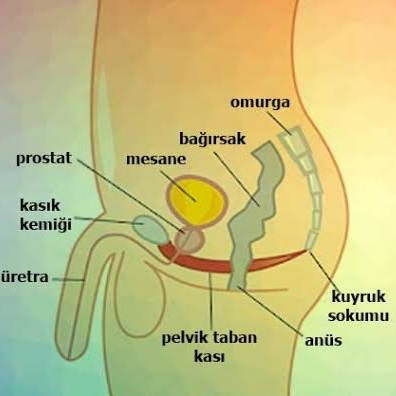 Erken boşalma sorunumun üstesinden nasıl gelirim?