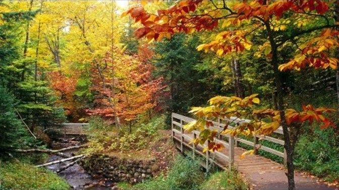 Sonbaharda dinlemelik şarkılar gelsin mi🍁🍂 ?