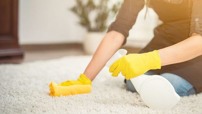 Düzenli olarak halıları siler misiniz?