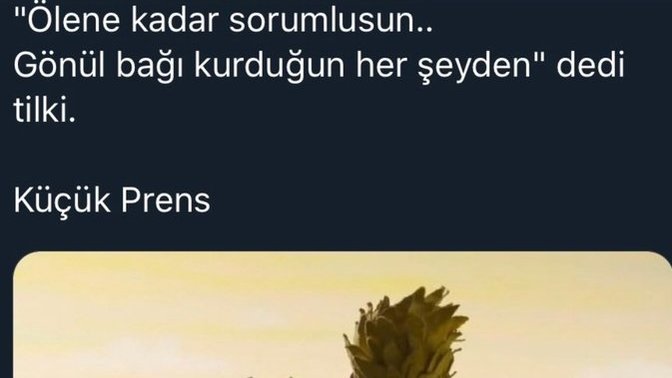 Size göre insanların birbirine bağlılığında kan bağı mı daha önemlidir, yoksa gönül bağı mı?