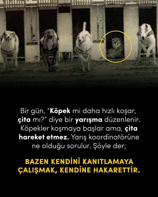 Bazen neden yarışmaya bile girmeyiz?