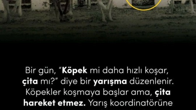 Bazen neden yarışmaya bile girmeyiz?