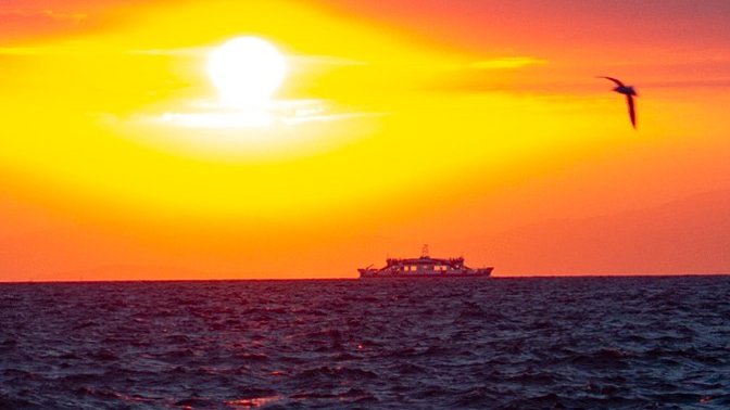 Fotoğrafçılığa merak sardım resimler nasıl?