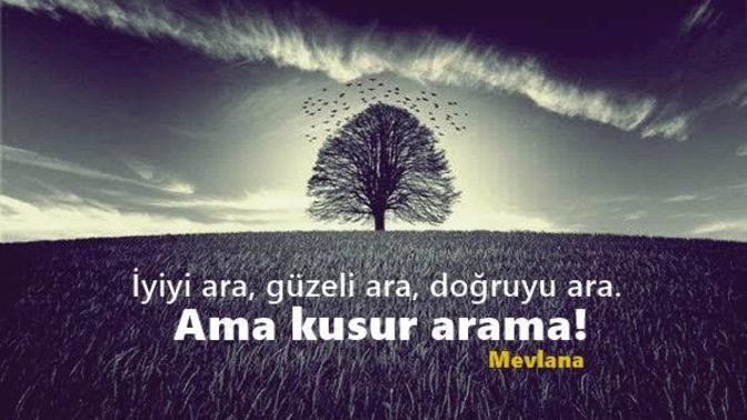 Sevdiğiniz insanda ne gibi kusurlar ararsınız, Ya da kusur ararmısınız?