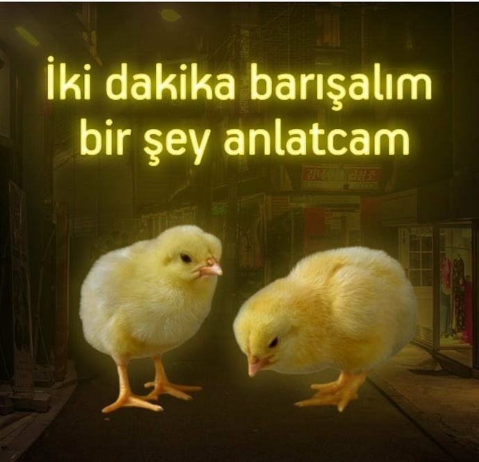 Son olarak neyin ekran görüntüsünü aldınız?