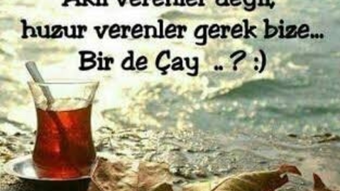 Arkadaşlarım sizlere sürekli akıl vermeye çalışan insanları nasıl karşılıyorsunuz?