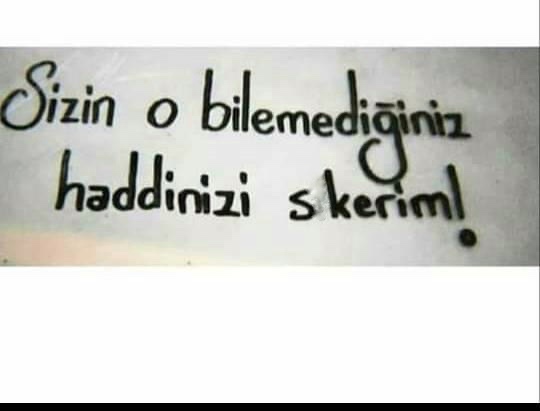 Ne kadar seviyesizsiniz? Haddinizi biliyor musunuz?