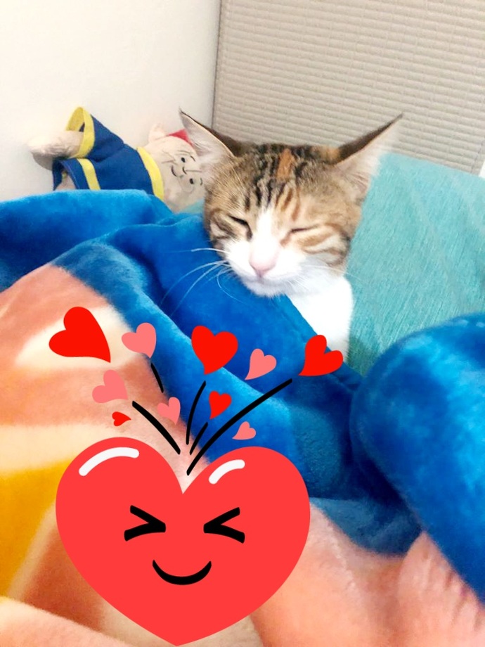 Boncuk😼