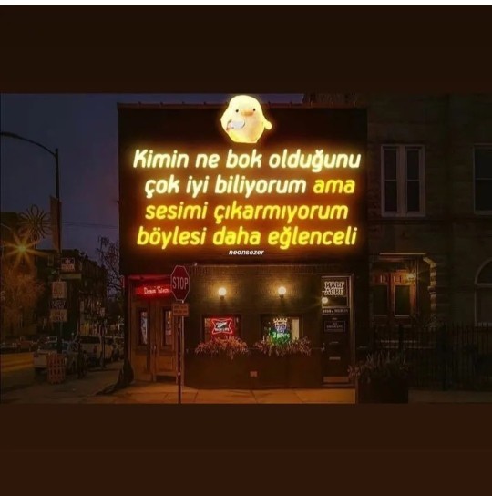 Görseldeki burç sizce hangisi olabilir?