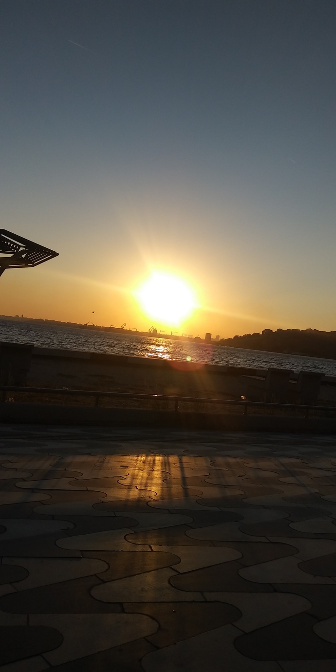 Havada miiss