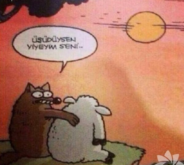 Hayvanlar mı daha sadık, insanlar mı?