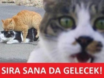 Evlenmeden olmaz diyen insanlara bakış açınız ne oluyor?