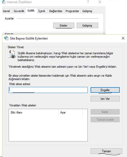 siteleri engellemek anlatım