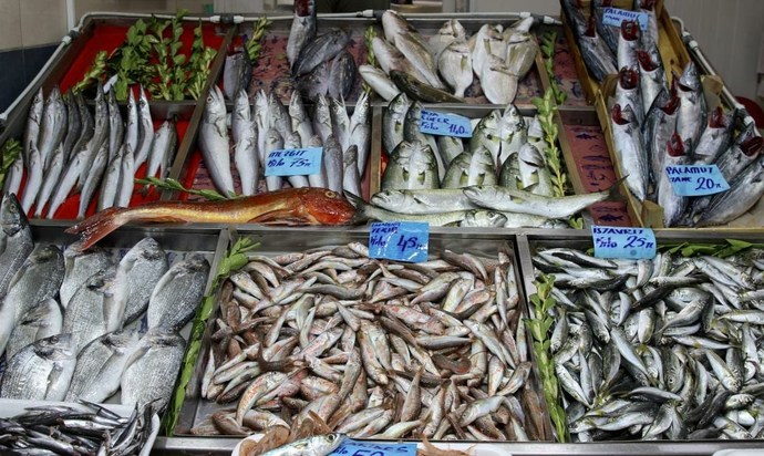 3 tarafı denizler ile çevrili ülkemizdeki, balık fiyatları hakkında ne düşünüyorsunuz?