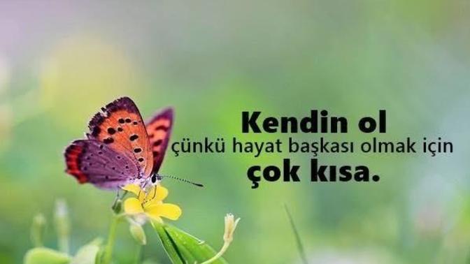 Özenti insanlara tavrınız nasıldır?