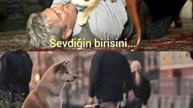 Tüm hayvanlar neden bu kadar sadıklar?