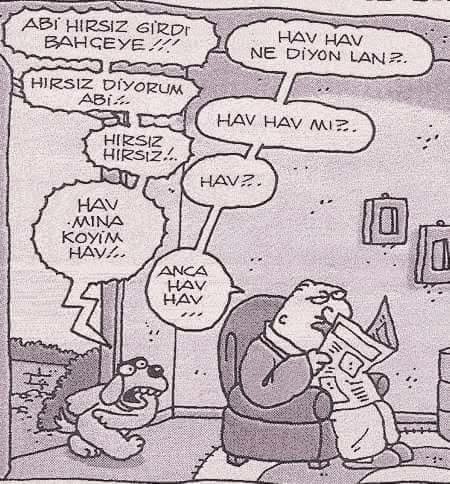 Hayvanlar konuşabilseydi; onlara ne sorardınız?