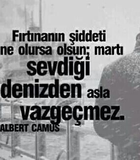 Seven insan vazgeçer mi?