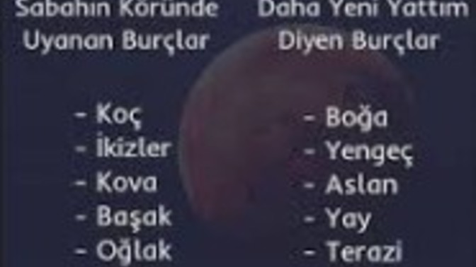 Senin burcun hangi grupta?