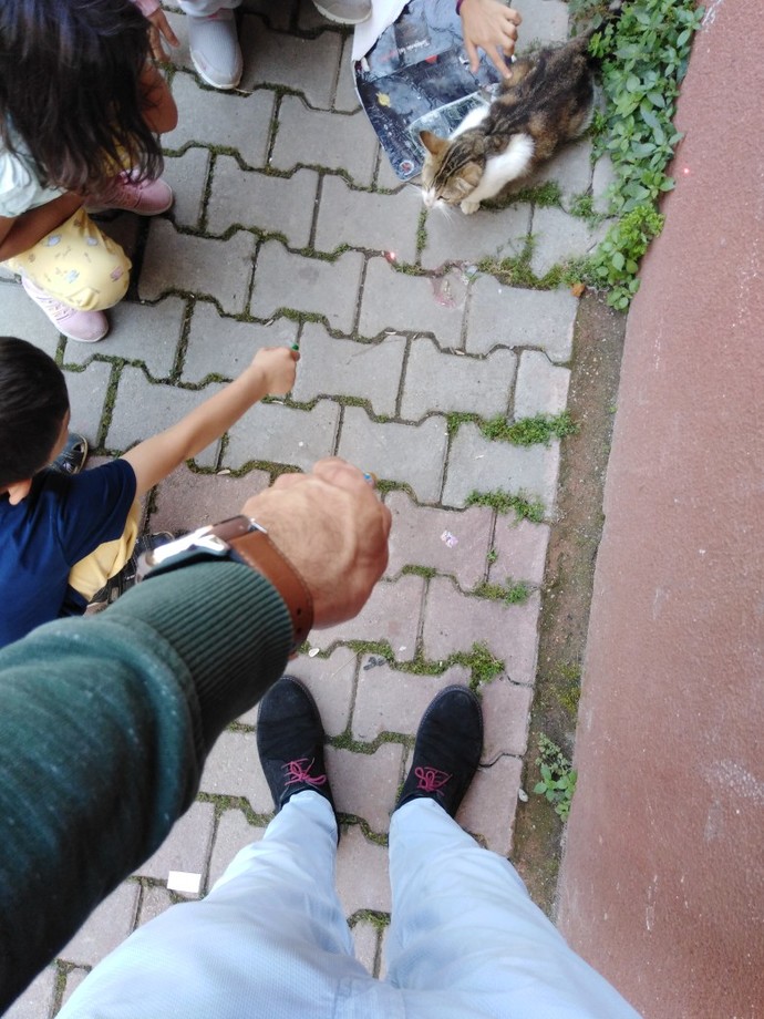 Hayvanlarla ilgili tebessüm ettiren anılarınız var mı, varsa takdim eder misiniz efendim🙃?