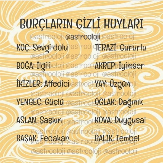 Gizli huyun nedir acaba?